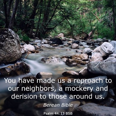 Picture 03 - Psalm 44:13 BSB - You have made us a reproach to our neighbors, a - Bible Verse Picture