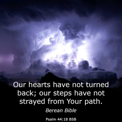 Picture 03 - Psalm 44:18 BSB - Our hearts have not turned back; our steps have - Bible Verse Picture