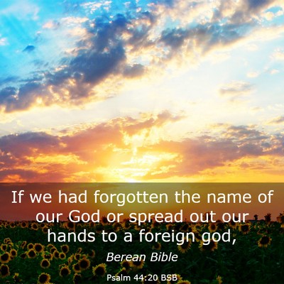 Picture 03 - Psalm 44:20 BSB - If we had forgotten the name of our God or spread - Bible Verse Picture