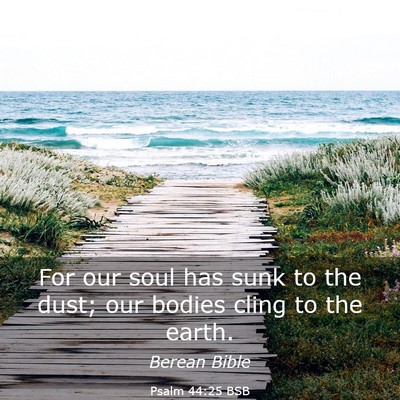 Picture 03 - Psalm 44:25 BSB - For our soul has sunk to the dust; our bodies - Bible Verse Picture