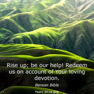 Picture 03 - Psalm 44:26 BSB - Rise up; be our help! Redeem us on account of - Bible Verse Picture
