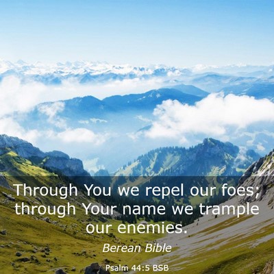 Picture 03 - Psalm 44:5 BSB - Through You we repel our foes; through Your name - Bible Verse Picture
