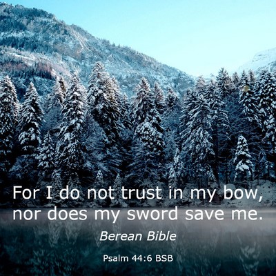 Picture 03 - Psalm 44:6 BSB - For I do not trust in my bow, nor does my sword - Bible Verse Picture