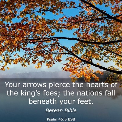 Picture 03 - Psalm 45:5 BSB - Your arrows pierce the hearts of the king’s - Bible Verse Picture