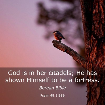 Picture 03 - Psalm 48:3 BSB - God is in her citadels; He has shown Himself to - Bible Verse Picture