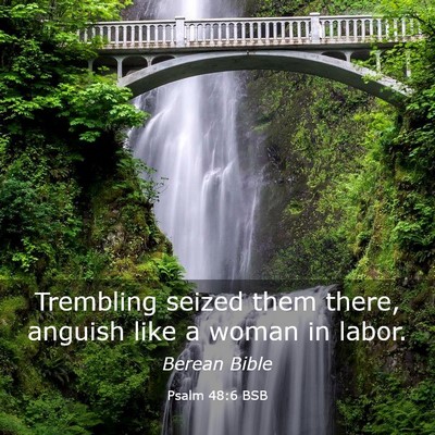 Picture 03 - Psalm 48:6 BSB - Trembling seized them there, anguish like a woman - Bible Verse Picture