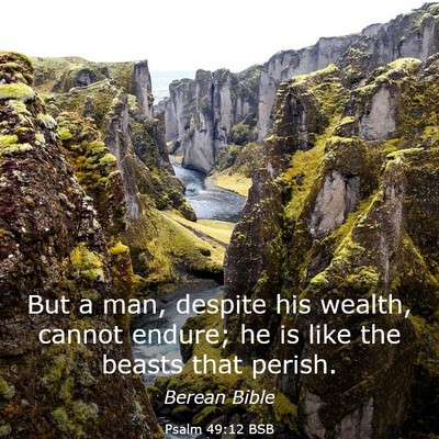 Picture 03 - Psalm 49:12 BSB - But a man, despite his wealth, cannot endure; he - Bible Verse Picture