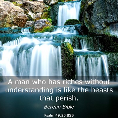 Picture 03 - Psalm 49:20 BSB - A man who has riches without understanding is - Bible Verse Picture