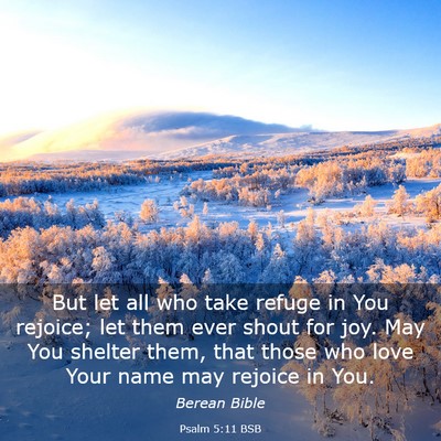 Picture 03 - Psalm 5:11 BSB - But let all who take refuge in You rejoice; let - Bible Verse Picture