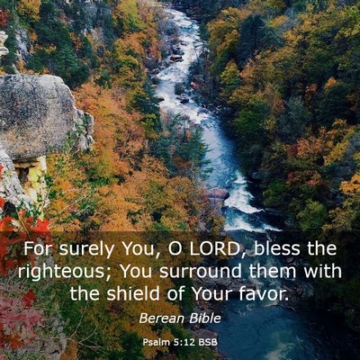Picture 03 - Psalm 5:12 BSB - For surely You, O LORD, bless the righteous; You - Bible Verse Picture
