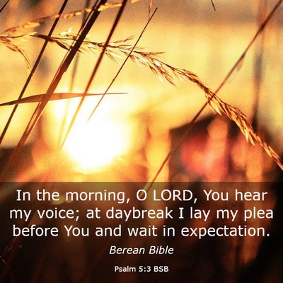 Picture 03 - Psalm 5:3 BSB - In the morning, O LORD, You hear my voice; at - Bible Verse Picture