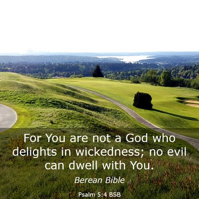 Picture 03 - Psalm 5:4 BSB - For You are not a God who delights in wickedness; - Bible Verse Picture