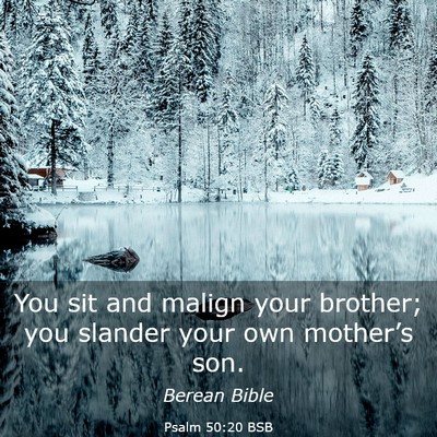 Picture 03 - Psalm 50:20 BSB - You sit and malign your brother; you slander your - Bible Verse Picture