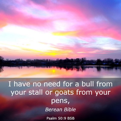 Picture 03 - Psalm 50:9 BSB - I have no need for a bull from your stall or - Bible Verse Picture