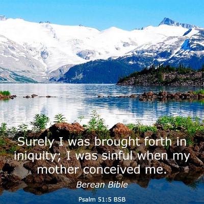 Picture 03 - Psalm 51:5 BSB - Surely I was brought forth in iniquity; I was - Bible Verse Picture