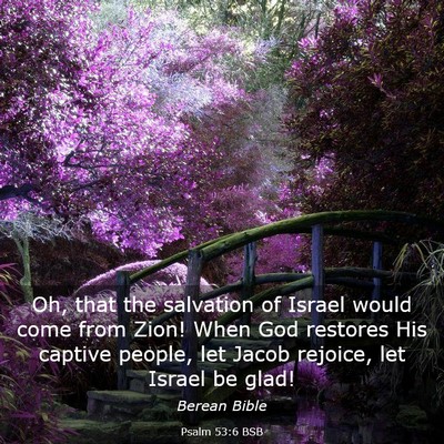 Picture 03 - Psalm 53:6 BSB - Oh, that the salvation of Israel would come from - Bible Verse Picture