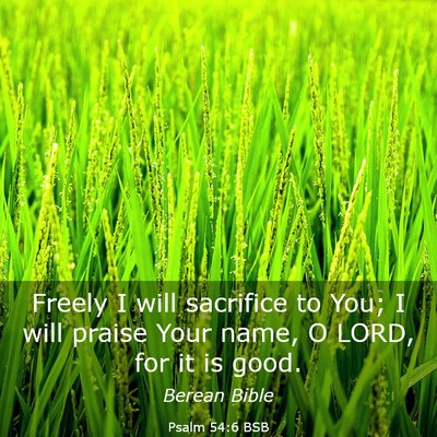 Picture 03 - Psalm 54:6 BSB - Freely I will sacrifice to You; I will praise - Bible Verse Picture