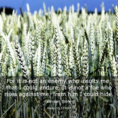 Picture 03 - Psalm 55:12 BSB - For it is not an enemy who insults me; that I - Bible Verse Picture