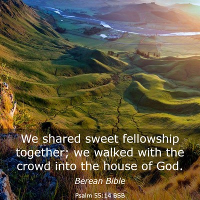 Picture 03 - Psalm 55:14 BSB - We shared sweet fellowship together; we walked - Bible Verse Picture