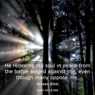 Picture 03 - Psalm 55:18 BSB - He redeems my soul in peace from the battle waged - Bible Verse Picture