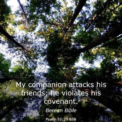 Picture 03 - Psalm 55:20 BSB - My companion attacks his friends; he violates his - Bible Verse Picture