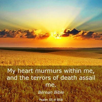 Picture 03 - Psalm 55:4 BSB - My heart murmurs within me, and the terrors of - Bible Verse Picture