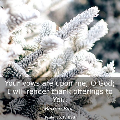Picture 03 - Psalm 56:12 BSB - Your vows are upon me, O God; I will render thank - Bible Verse Picture