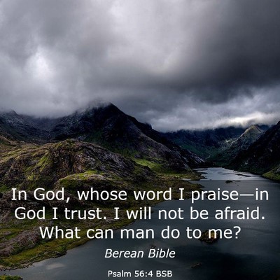 Picture 03 - Psalm 56:4 BSB - In God, whose word I praise—in God I trust. I - Bible Verse Picture