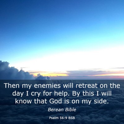 Picture 03 - Psalm 56:9 BSB - Then my enemies will retreat on the day I cry for - Bible Verse Picture