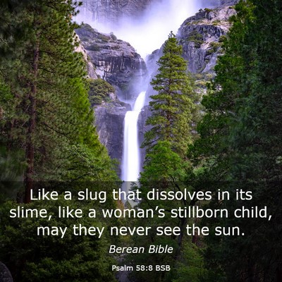 Picture 03 - Psalm 58:8 BSB - Like a slug that dissolves in its slime, like a - Bible Verse Picture