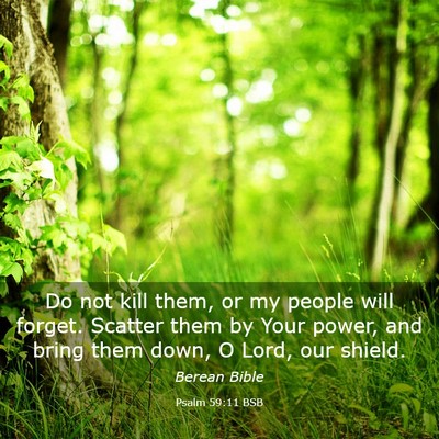 Picture 03 - Psalm 59:11 BSB - Do not kill them, or my people will forget. - Bible Verse Picture