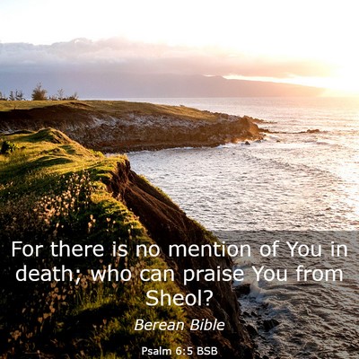Picture 03 - Psalm 6:5 BSB - For there is no mention of You in death; who can - Bible Verse Picture