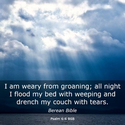 Picture 03 - Psalm 6:6 BSB - I am weary from groaning; all night I flood my - Bible Verse Picture