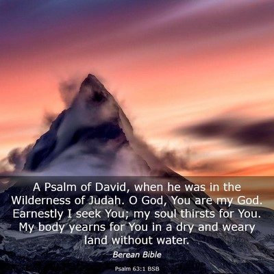 Picture 03 - Psalm 63:1 BSB - A Psalm of David, when he was in the Wilderness - Bible Verse Picture