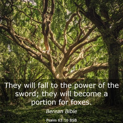 Picture 03 - Psalm 63:10 BSB - They will fall to the power of the sword; they - Bible Verse Picture
