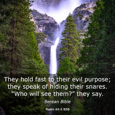 Picture 03 - Psalm 64:5 BSB - They hold fast to their evil purpose; they speak - Bible Verse Picture