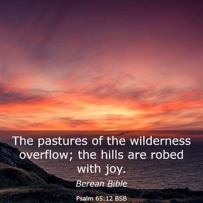 Picture 03 - Psalm 65:12 BSB - The pastures of the wilderness overflow; the - Bible Verse Picture