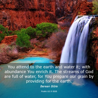Picture 03 - Psalm 65:9 BSB - You attend to the earth and water it; with - Bible Verse Picture