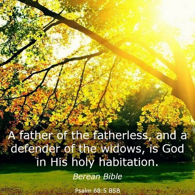 Picture 03 - Psalm 68:5 BSB - A father of the fatherless, and a defender of the - Bible Verse Picture