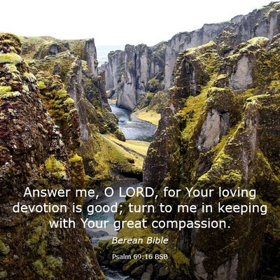 Picture 03 - Psalm 69:16 BSB - Answer me, O LORD, for Your loving devotion is - Bible Verse Picture