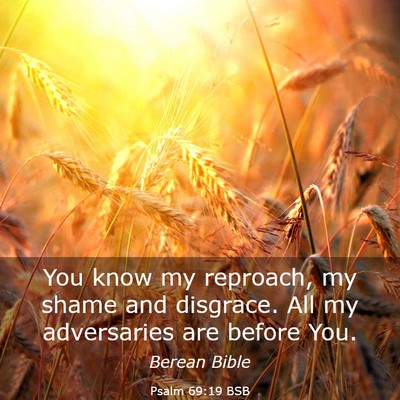 Picture 03 - Psalm 69:19 BSB - You know my reproach, my shame and disgrace. All - Bible Verse Picture