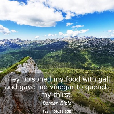 Picture 03 - Psalm 69:21 BSB - They poisoned my food with gall and gave me - Bible Verse Picture