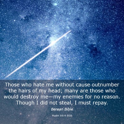 Picture 03 - Psalm 69:4 BSB - Those who hate me without cause outnumber the - Bible Verse Picture