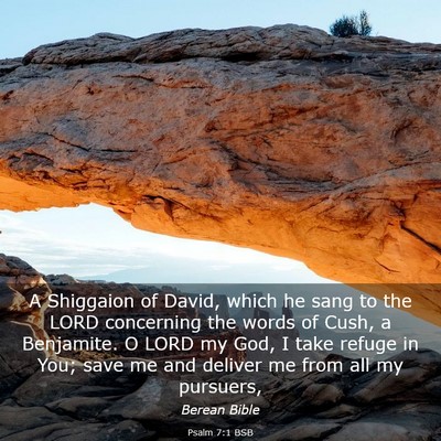 Picture 03 - Psalm 7:1 BSB - A Shiggaion of David, which he sang to the LORD - Bible Verse Picture