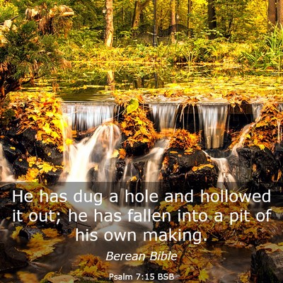 Picture 03 - Psalm 7:15 BSB - He has dug a hole and hollowed it out; he has - Bible Verse Picture