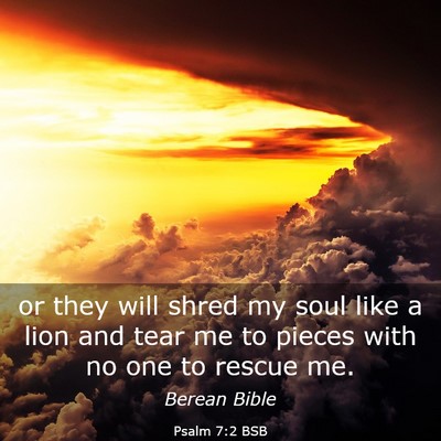 Picture 03 - Psalm 7:2 BSB - or they will shred my soul like a lion and tear - Bible Verse Picture