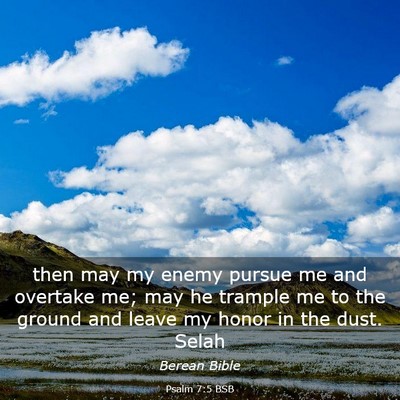 Picture 03 - Psalm 7:5 BSB - then may my enemy pursue me and overtake me; may - Bible Verse Picture