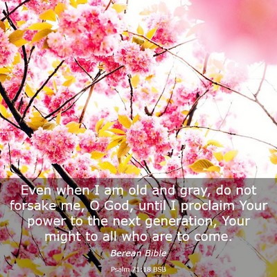 Picture 03 - Psalm 71:18 BSB - Even when I am old and gray, do not forsake me, O - Bible Verse Picture