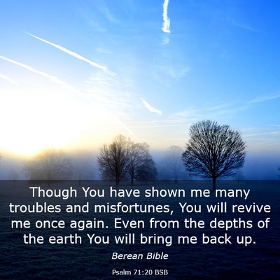 Picture 03 - Psalm 71:20 BSB - Though You have shown me many troubles and - Bible Verse Picture
