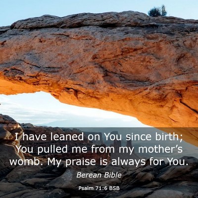 Picture 03 - Psalm 71:6 BSB - I have leaned on You since birth; You pulled me - Bible Verse Picture